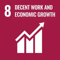 UN SDGs