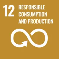 UN SDGs