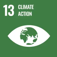 UN SDGs