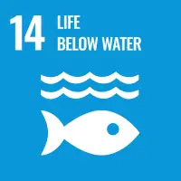 UN SDGs