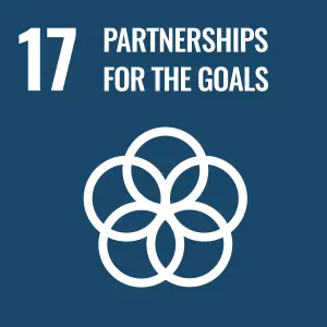 17 Partnership for the Goals