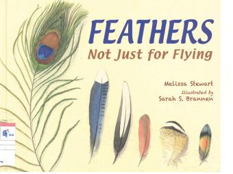 Feathers: Not Just for Flying