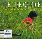 The Life of Rice: From Seedling to Supper