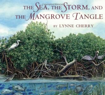 The Sea, The Storm and the Mangrove Tangle