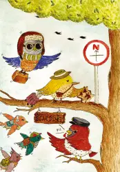 Birds